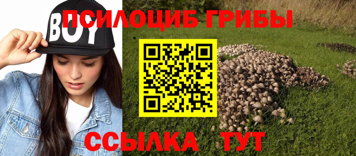 Галлюциногенные грибы прущие грибы  Вход с VPN  Барабинск  Псилоцибиновые грибы MAGIC MUSHROOMS 